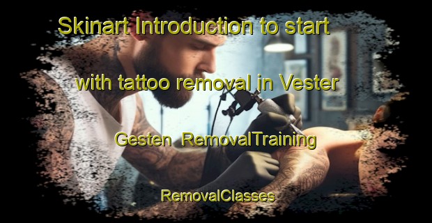 Skinart Introduction to start with tattoo removal in Vester Gesten | RemovalTraining | RemovalClasses | SkinartTraining-Denmark