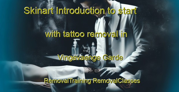 Skinart Introduction to start with tattoo removal in Vingevaenge Garde | #RemovalTraining #RemovalClasses #SkinartTraining-Denmark