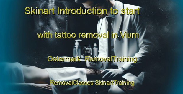 Skinart Introduction to start with tattoo removal in Vium Ostermark | #RemovalTraining #RemovalClasses #SkinartTraining-Denmark