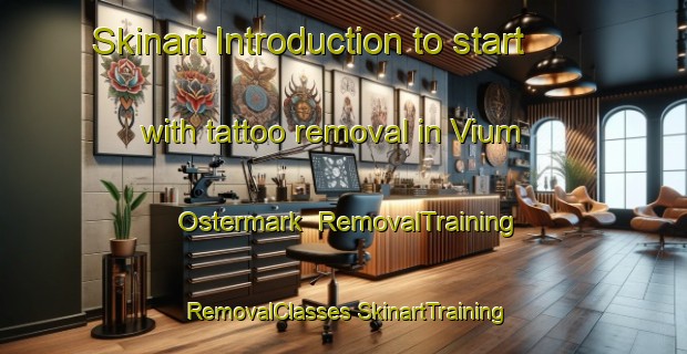 Skinart Introduction to start with tattoo removal in Vium Ostermark | #RemovalTraining #RemovalClasses #SkinartTraining-Denmark