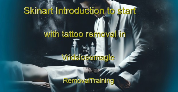 Skinart Introduction to start with tattoo removal in Vridslosemagle | RemovalTraining | RemovalClasses | SkinartTraining-Denmark