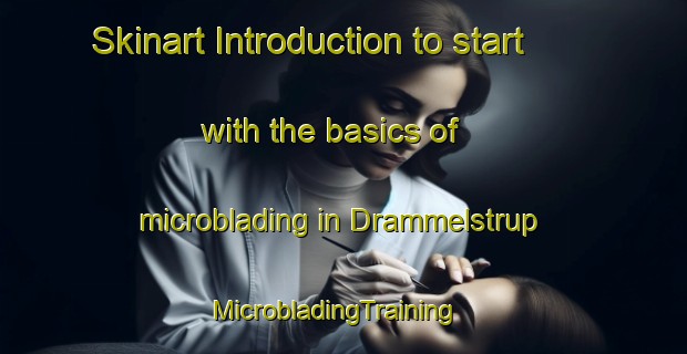 Skinart Introduction to start with the basics of microblading in Drammelstrup | MicrobladingTraining | MicrobladingClasses | SkinartTraining-Denmark