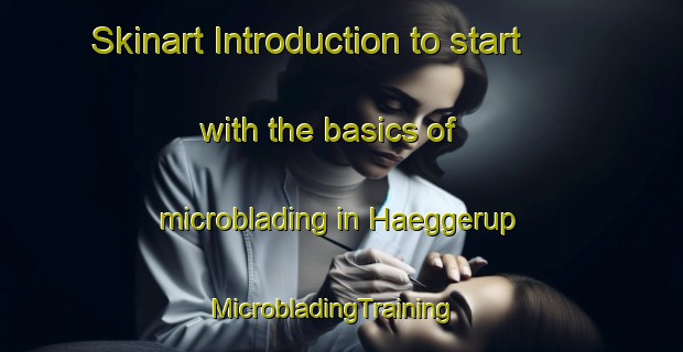 Skinart Introduction to start with the basics of microblading in Haeggerup | MicrobladingTraining | MicrobladingClasses | SkinartTraining-Denmark