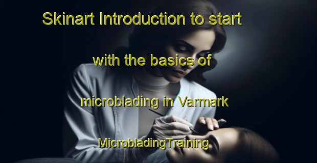 Skinart Introduction to start with the basics of microblading in Varmark | MicrobladingTraining | MicrobladingClasses | SkinartTraining-Denmark