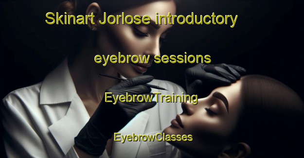 Skinart Jorlose introductory eyebrow sessions | EyebrowTraining | EyebrowClasses | SkinartTraining-Denmark