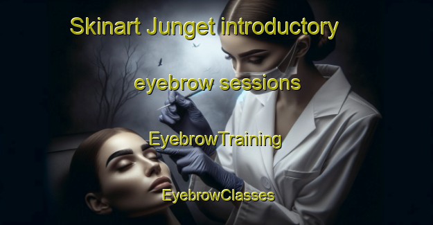 Skinart Junget introductory eyebrow sessions | EyebrowTraining | EyebrowClasses | SkinartTraining-Denmark