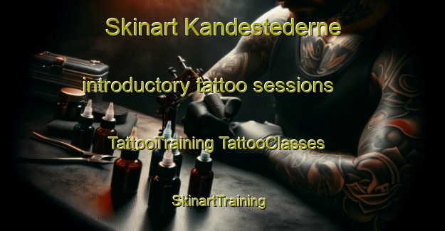 Skinart Kandestederne introductory tattoo sessions | #TattooTraining #TattooClasses #SkinartTraining-Denmark