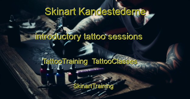 Skinart Kandestederne introductory tattoo sessions | TattooTraining | TattooClasses | SkinartTraining-Denmark