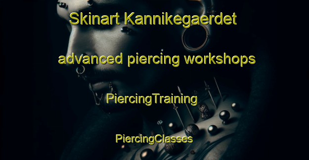 Skinart Kannikegaerdet advanced piercing workshops | #PiercingTraining #PiercingClasses #SkinartTraining-Denmark