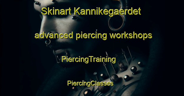 Skinart Kannikegaerdet advanced piercing workshops | PiercingTraining | PiercingClasses | SkinartTraining-Denmark