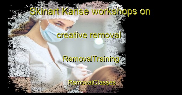 Skinart Karise workshops on creative removal | RemovalTraining | RemovalClasses | SkinartTraining-Denmark