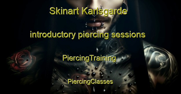 Skinart Karlsgarde introductory piercing sessions | #PiercingTraining #PiercingClasses #SkinartTraining-Denmark