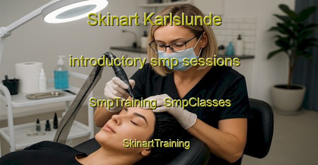 Skinart Karlslunde introductory smp sessions | SmpTraining | SmpClasses | SkinartTraining-Denmark