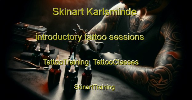 Skinart Karlsminde introductory tattoo sessions | TattooTraining | TattooClasses | SkinartTraining-Denmark