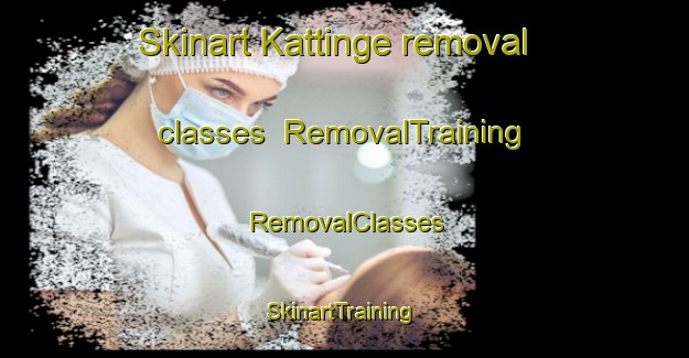 Skinart Kattinge removal classes | RemovalTraining | RemovalClasses | SkinartTraining-Denmark