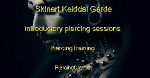 Skinart Kelddal Garde introductory piercing sessions | PiercingTraining | PiercingClasses | SkinartTraining-Denmark