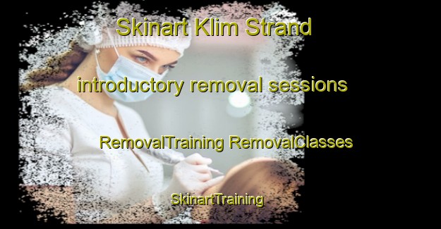 Skinart Klim Strand introductory removal sessions | #RemovalTraining #RemovalClasses #SkinartTraining-Denmark