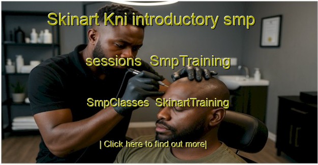 Skinart Kni introductory smp sessions | SmpTraining | SmpClasses | SkinartTraining-Denmark