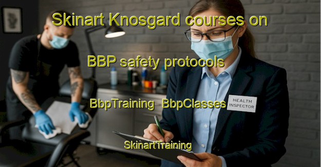 Skinart Knosgard courses on BBP safety protocols | BbpTraining | BbpClasses | SkinartTraining-Denmark