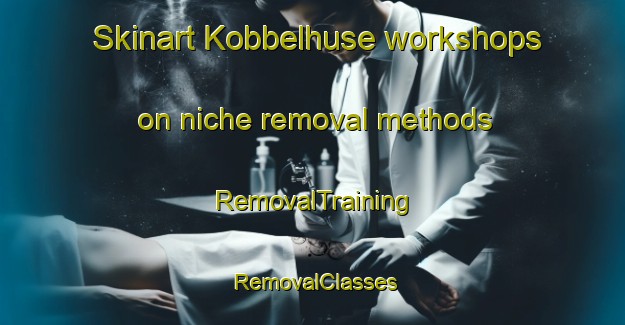 Skinart Kobbelhuse workshops on niche removal methods | RemovalTraining | RemovalClasses | SkinartTraining-Denmark