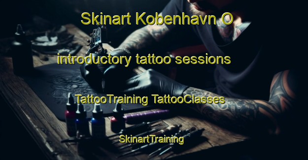 Skinart Kobenhavn O introductory tattoo sessions | #TattooTraining #TattooClasses #SkinartTraining-Denmark