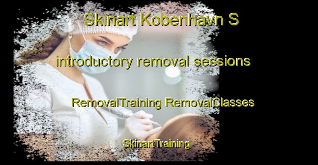 Skinart Kobenhavn S introductory removal sessions | #RemovalTraining #RemovalClasses #SkinartTraining-Denmark