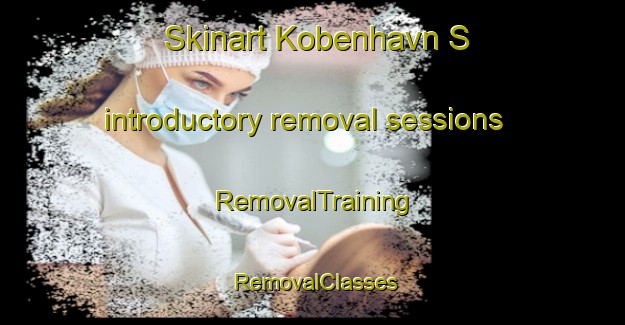 Skinart Kobenhavn S introductory removal sessions | RemovalTraining | RemovalClasses | SkinartTraining-Denmark