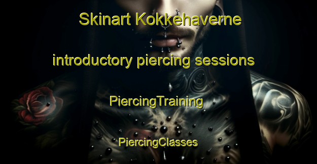 Skinart Kokkehaverne introductory piercing sessions | #PiercingTraining #PiercingClasses #SkinartTraining-Denmark