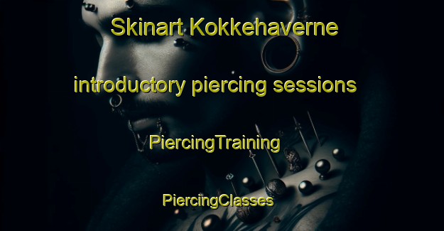 Skinart Kokkehaverne introductory piercing sessions | PiercingTraining | PiercingClasses | SkinartTraining-Denmark