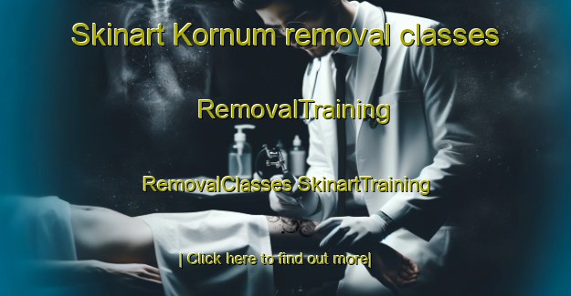 Skinart Kornum removal classes | #RemovalTraining #RemovalClasses #SkinartTraining-Denmark