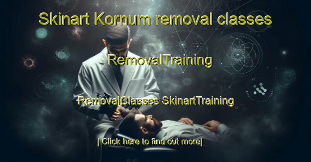 Skinart Kornum removal classes | #RemovalTraining #RemovalClasses #SkinartTraining-Denmark