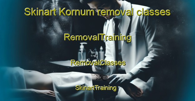 Skinart Kornum removal classes | RemovalTraining | RemovalClasses | SkinartTraining-Denmark