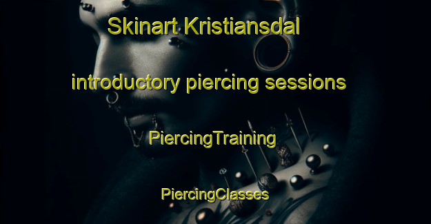 Skinart Kristiansdal introductory piercing sessions | #PiercingTraining #PiercingClasses #SkinartTraining-Denmark