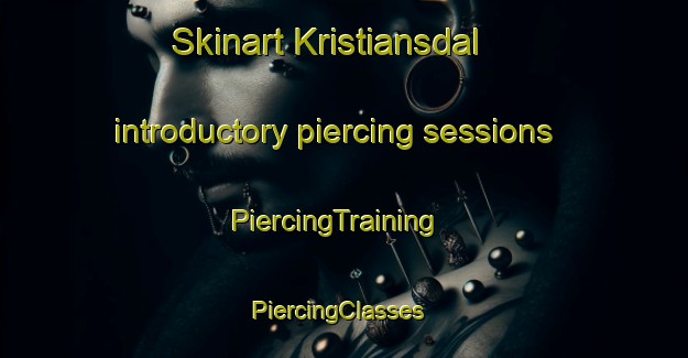 Skinart Kristiansdal introductory piercing sessions | PiercingTraining | PiercingClasses | SkinartTraining-Denmark