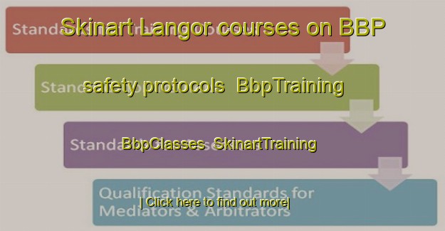 Skinart Langor courses on BBP safety protocols | BbpTraining | BbpClasses | SkinartTraining-Denmark