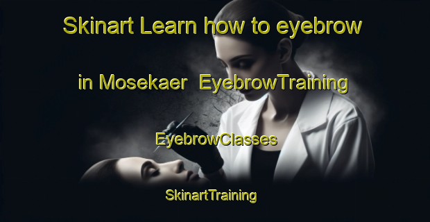 Skinart Learn how to eyebrow in Mosekaer | EyebrowTraining | EyebrowClasses | SkinartTraining-Denmark