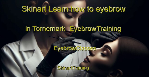 Skinart Learn how to eyebrow in Tornemark | EyebrowTraining | EyebrowClasses | SkinartTraining-Denmark