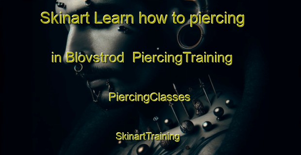 Skinart Learn how to piercing in Blovstrod | #PiercingTraining #PiercingClasses #SkinartTraining-Denmark