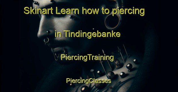 Skinart Learn how to piercing in Tindingebanke | #PiercingTraining #PiercingClasses #SkinartTraining-Denmark