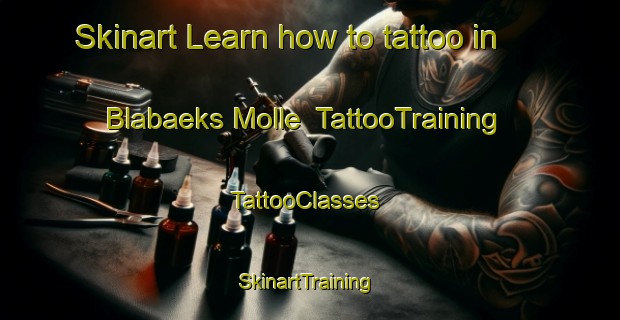 Skinart Learn how to tattoo in Blabaeks Molle | TattooTraining | TattooClasses | SkinartTraining-Denmark