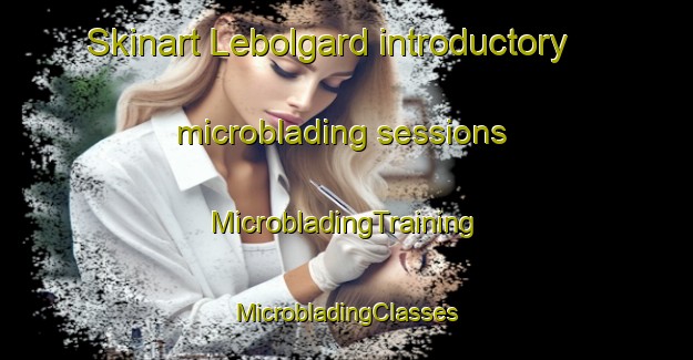 Skinart Lebolgard introductory microblading sessions | #MicrobladingTraining #MicrobladingClasses #SkinartTraining-Denmark