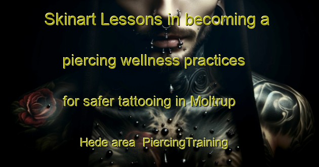 Skinart Lessons in becoming a piercing wellness practices for safer tattooing in Moltrup Hede area | PiercingTraining | PiercingClasses | SkinartTraining-Denmark