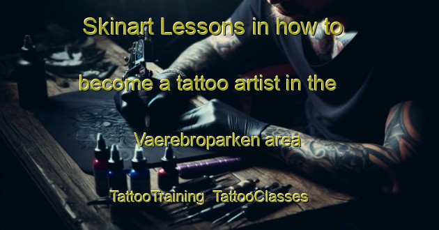Skinart Lessons in how to become a tattoo artist in the Vaerebroparken area | TattooTraining | TattooClasses | SkinartTraining-Denmark