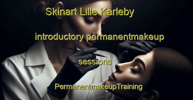 Skinart Lille Karleby introductory permanentmakeup sessions | PermanentmakeupTraining | PermanentmakeupClasses | SkinartTraining-Denmark