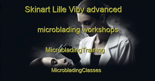 Skinart Lille Viby advanced microblading workshops | MicrobladingTraining | MicrobladingClasses | SkinartTraining-Denmark