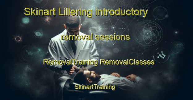 Skinart Lillering introductory removal sessions | #RemovalTraining #RemovalClasses #SkinartTraining-Denmark