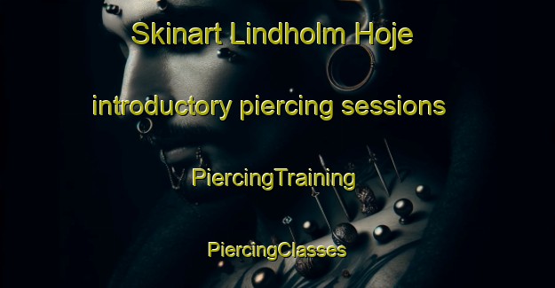 Skinart Lindholm Hoje introductory piercing sessions | #PiercingTraining #PiercingClasses #SkinartTraining-Denmark