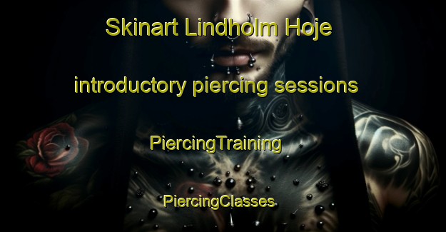 Skinart Lindholm Hoje introductory piercing sessions | PiercingTraining | PiercingClasses | SkinartTraining-Denmark