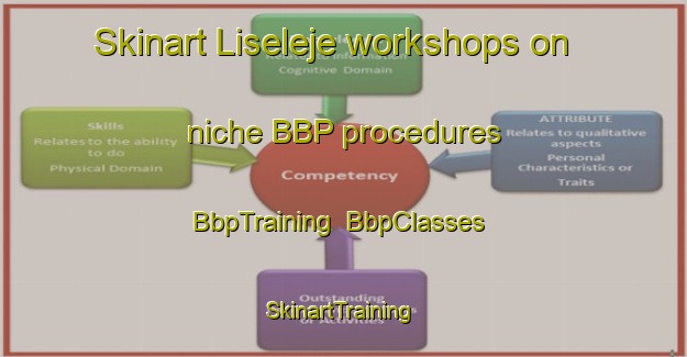 Skinart Liseleje workshops on niche BBP procedures | BbpTraining | BbpClasses | SkinartTraining-Denmark
