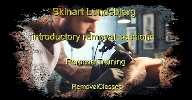 Skinart Lundsbjerg introductory removal sessions | RemovalTraining | RemovalClasses | SkinartTraining-Denmark